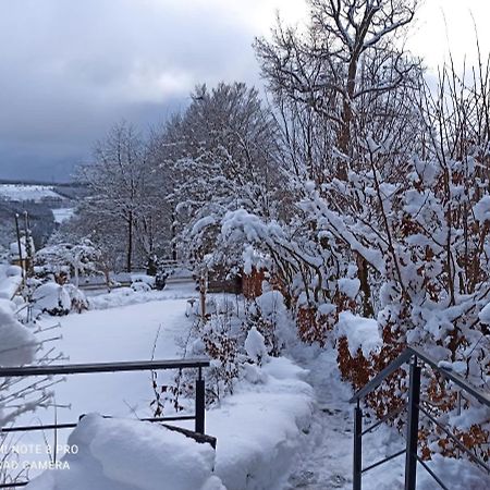 Vila La Mignonne Des Fagnes Malmedy Exteriér fotografie