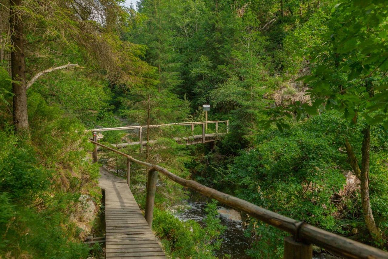 Vila La Mignonne Des Fagnes Malmedy Exteriér fotografie