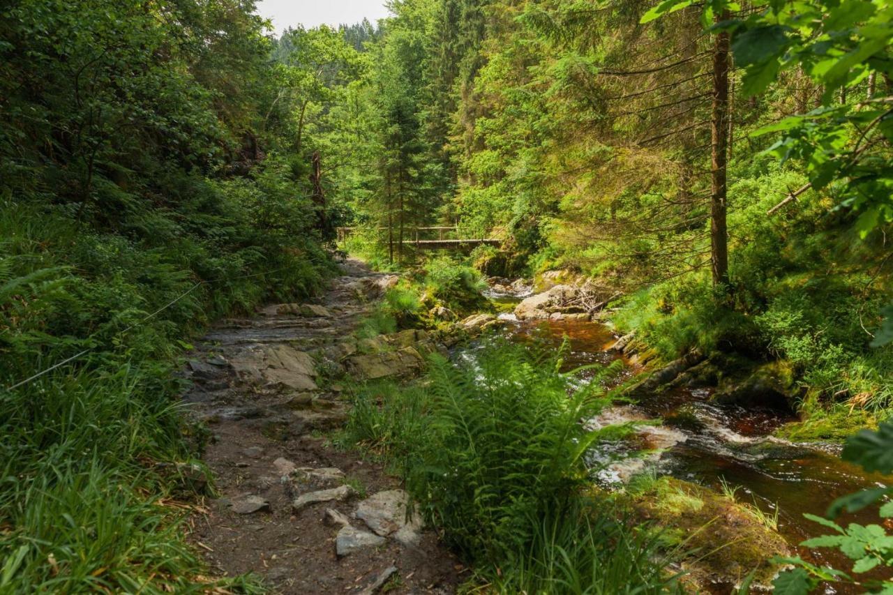 Vila La Mignonne Des Fagnes Malmedy Exteriér fotografie