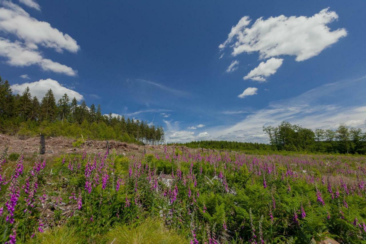 Vila La Mignonne Des Fagnes Malmedy Exteriér fotografie